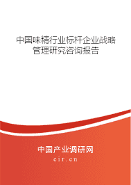 味精行业标杆企业战略管理研究咨询报告